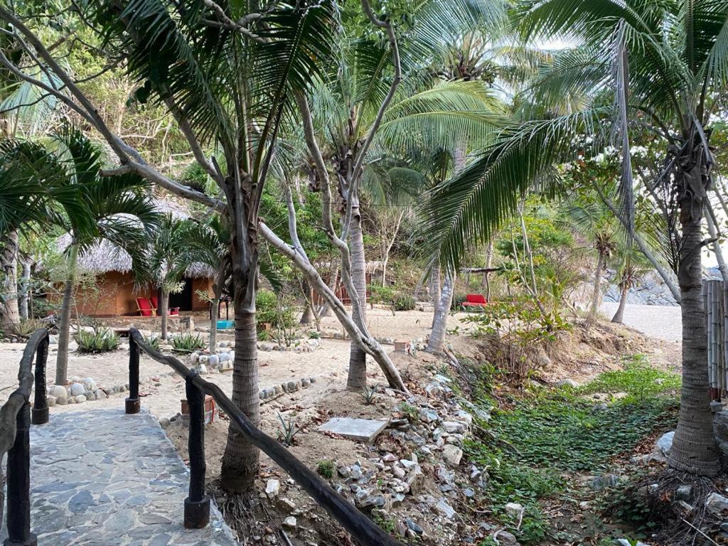 Hotel Bahia De La Luna Arroyo Cruz エクステリア 写真