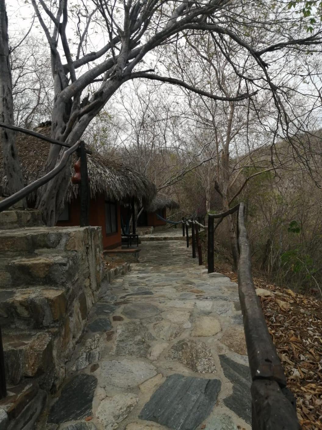 Hotel Bahia De La Luna Arroyo Cruz エクステリア 写真