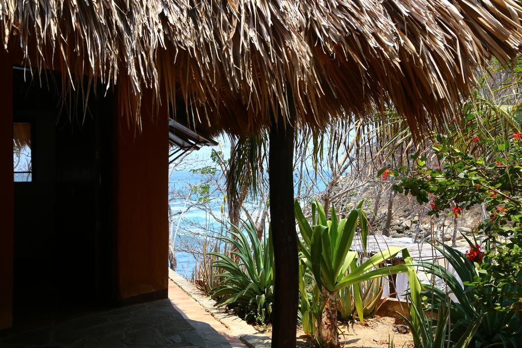 Hotel Bahia De La Luna Arroyo Cruz エクステリア 写真