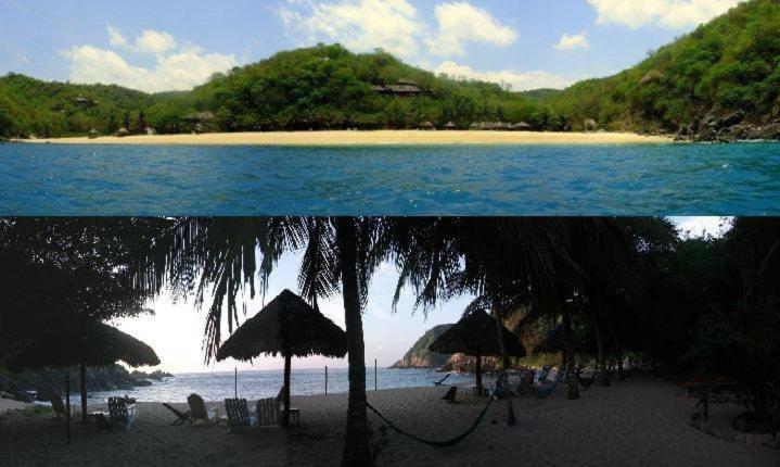 Hotel Bahia De La Luna Arroyo Cruz エクステリア 写真