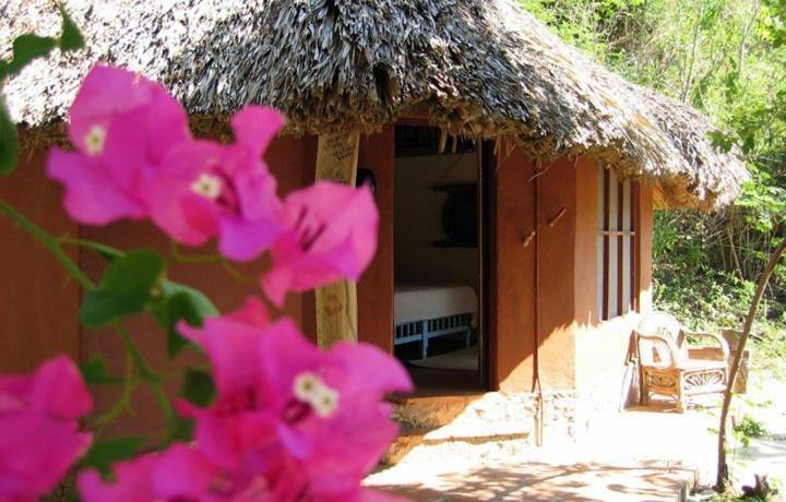 Hotel Bahia De La Luna Arroyo Cruz エクステリア 写真